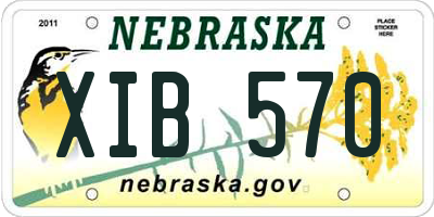 NE license plate XIB570