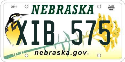 NE license plate XIB575