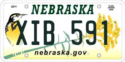 NE license plate XIB591