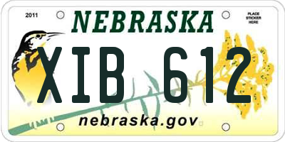 NE license plate XIB612