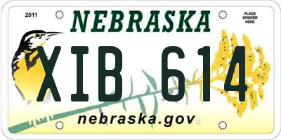 NE license plate XIB614