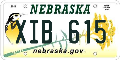 NE license plate XIB615