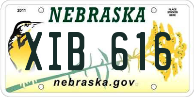 NE license plate XIB616