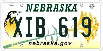 NE license plate XIB619