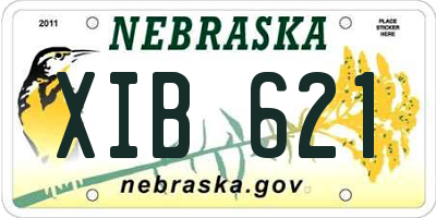 NE license plate XIB621