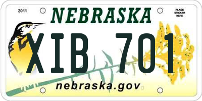 NE license plate XIB701