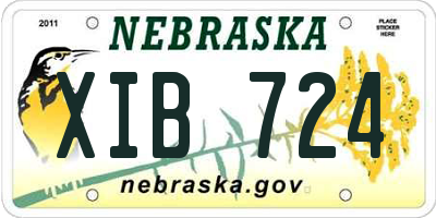 NE license plate XIB724