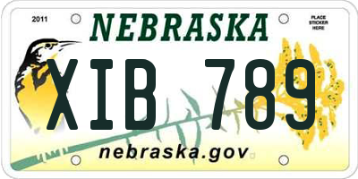 NE license plate XIB789