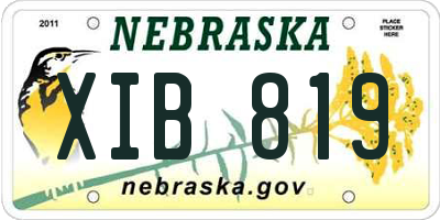 NE license plate XIB819