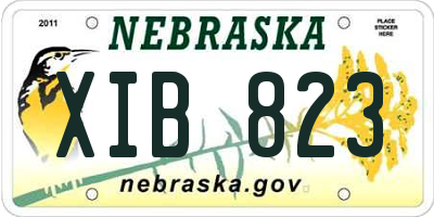 NE license plate XIB823
