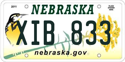 NE license plate XIB833