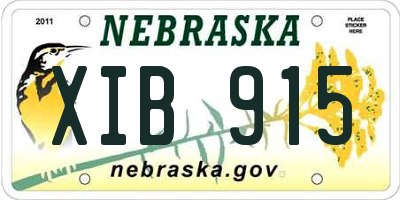 NE license plate XIB915