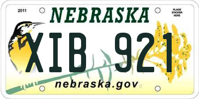 NE license plate XIB921