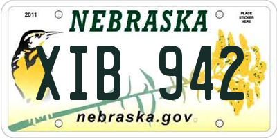 NE license plate XIB942