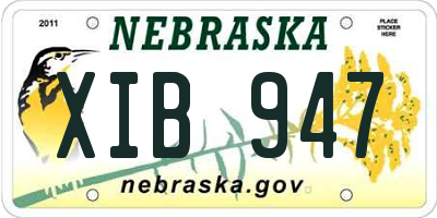 NE license plate XIB947