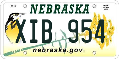 NE license plate XIB954