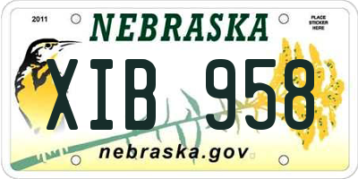 NE license plate XIB958