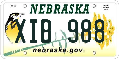 NE license plate XIB988
