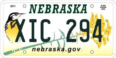 NE license plate XIC294