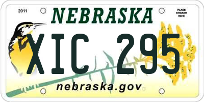 NE license plate XIC295
