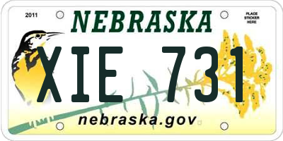 NE license plate XIE731