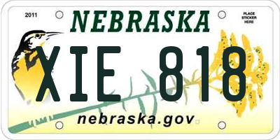 NE license plate XIE818
