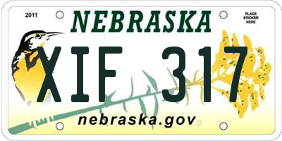 NE license plate XIF317