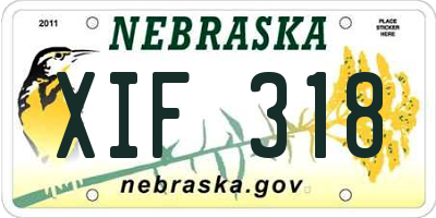 NE license plate XIF318
