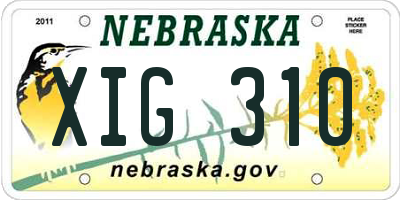 NE license plate XIG310
