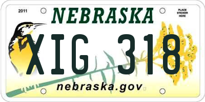 NE license plate XIG318