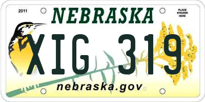 NE license plate XIG319