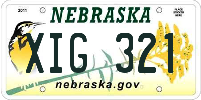 NE license plate XIG321