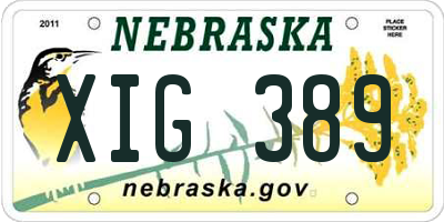 NE license plate XIG389