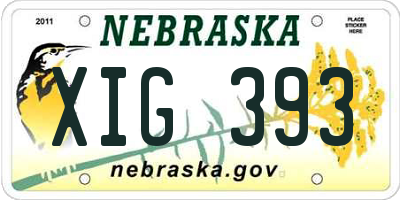 NE license plate XIG393