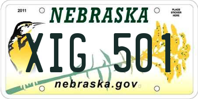 NE license plate XIG501