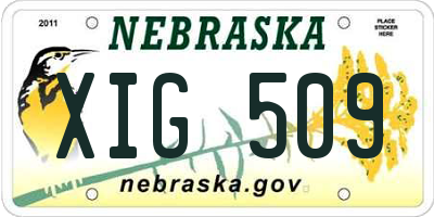 NE license plate XIG509