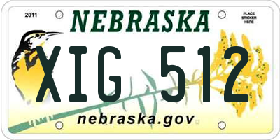 NE license plate XIG512