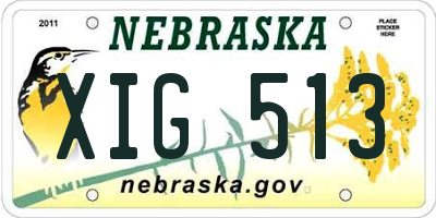 NE license plate XIG513