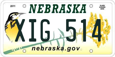 NE license plate XIG514