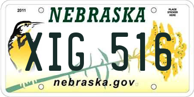 NE license plate XIG516