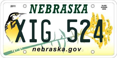NE license plate XIG524
