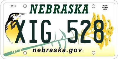 NE license plate XIG528