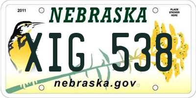 NE license plate XIG538