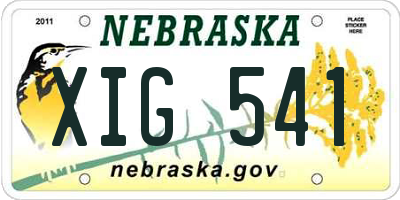 NE license plate XIG541