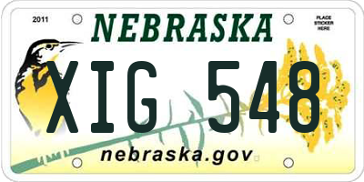 NE license plate XIG548