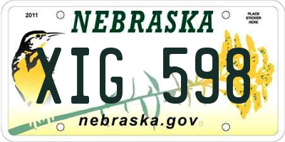 NE license plate XIG598