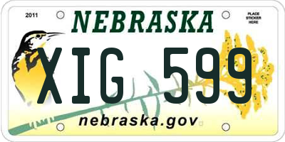 NE license plate XIG599