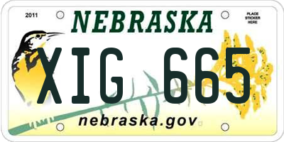 NE license plate XIG665