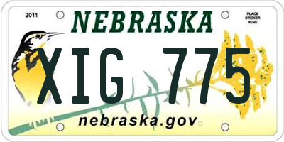 NE license plate XIG775