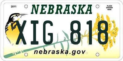 NE license plate XIG818